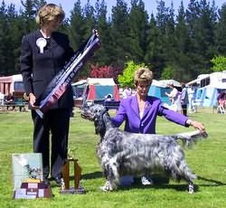 Best in Show