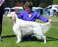 Intermediate in Show