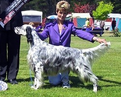Junior in Show