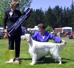 Reserve Best in Show