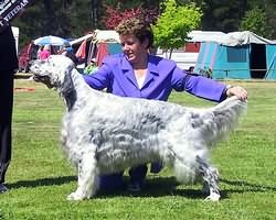 Veteran in Show
