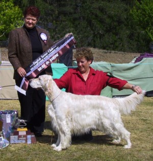 Best in Show
