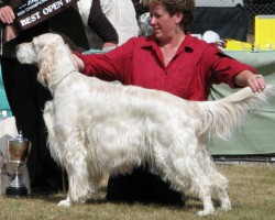 Open in Show