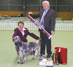 Best in Show
