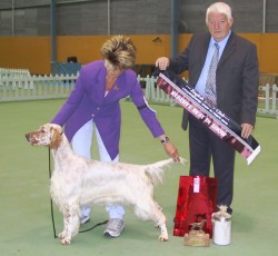 Reserve Best in Show