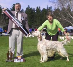 Best in Show