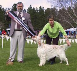 Reserve Best in Show