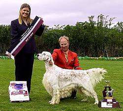 Best in Show 