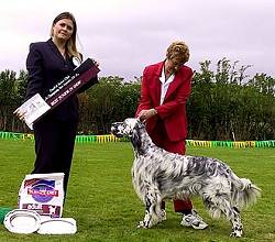 Junior in Show