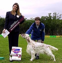 NZ Bred in Show
