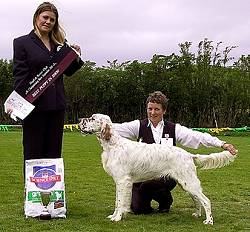 Puppy in Show