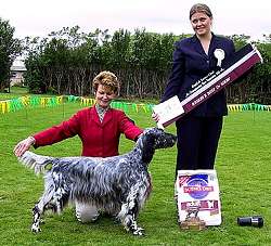Reserve Best in Show