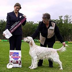 Veteran in Show