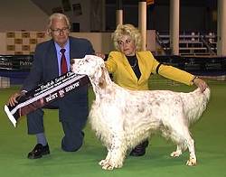 Best and Open in Show