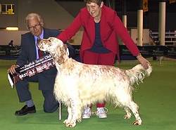 New Zealand Bred in Show