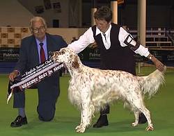 Reserve Best and Intermediate in Show