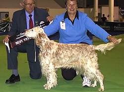 Veteran in Show