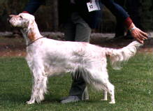 Sika