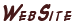 Website
