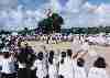 REFORMAAGRARIA1.1_thumb.jpg 3.5K