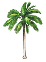 ::..  Palmera Janchi Coco o Zunca  ..::