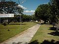 w.plaza-bolivia.br.ms.88