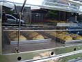 376_geocities_ws_bolivia_plaza
