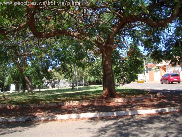 411_geocities_ws_bolivia_plaza.jpg