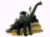 brachi2.jpg (9673 bytes)