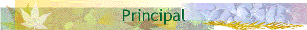 Principal