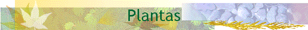Plantas