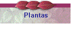 Plantas