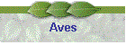 Aves