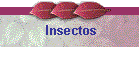 Insectos