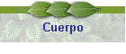 Cuerpo