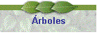 �rboles