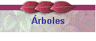 �rboles