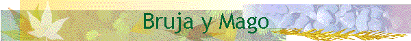 Bruja y Mago
