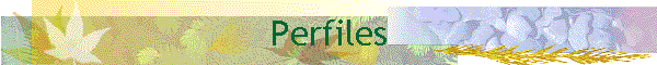 Perfiles