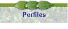 Perfiles