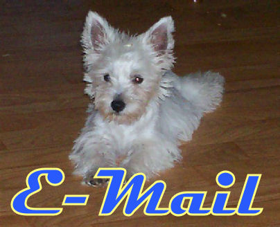 essysharpe@hotmail.com
