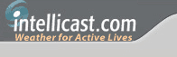logo_06.gif (3689 bytes)