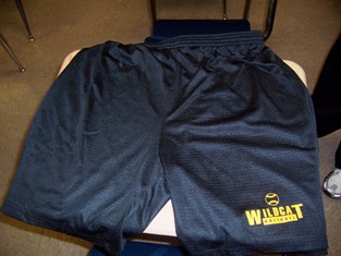 Wildcat Baseball Shorts