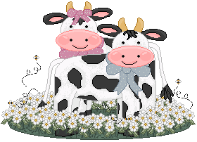Cows