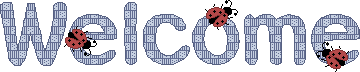 2.93kb