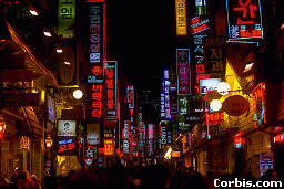 Neon Lights In Seoul