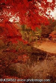 Autumn Landscape
