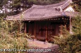 Abandoned Tradional Home