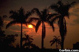 Sub-tropical Taiwan