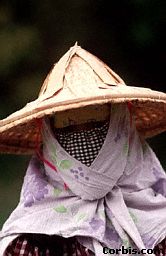 Women Protecting Herself From The Traffic Pollution